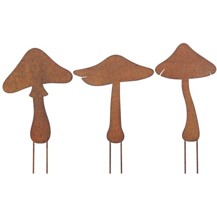 Mushroom Stake, 3a