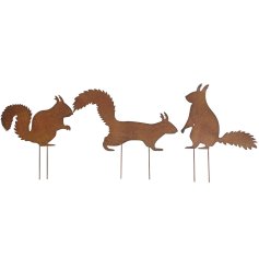Add charm and character to outdoor spaces with this delightful assortment of three metal squirrel garden stakes