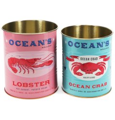 Brighten up the home with this colourful and vibrant set of 2 storage tins from REX International