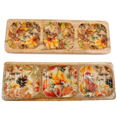 Add a touch of seasonal charm with this Autumn eamelled tray