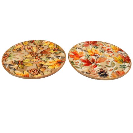 2/A Autumn Enamelled Plate, 35cm 