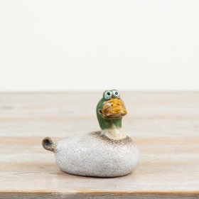 a delightful plump duck featuring a glossy green face