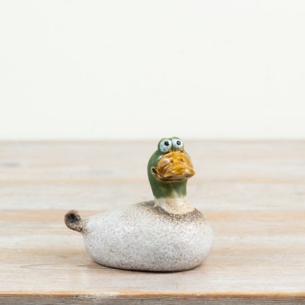 a delightful plump duck with a glossy green face