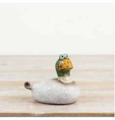 a delightful plump duck with a glossy green face