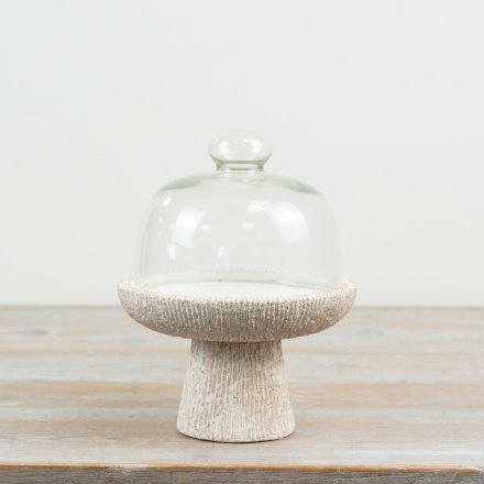 delightful cement base with a clear glass cloche for stylish presentation