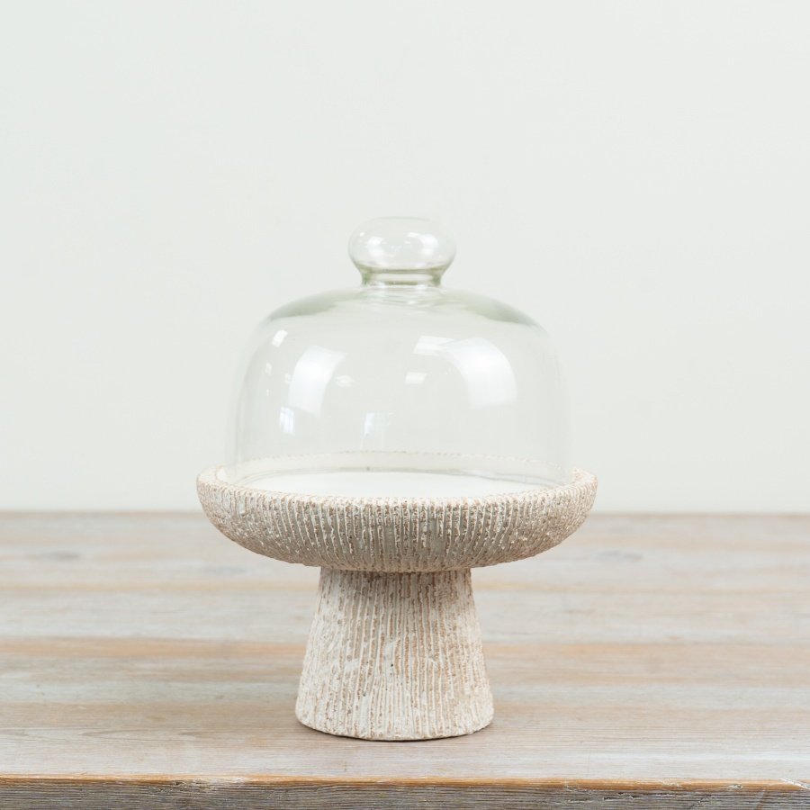 stylish cement and glass cloche for showcasing your cakes and treats