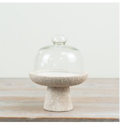 delightful cement base with a clear glass cloche for stylish presentation