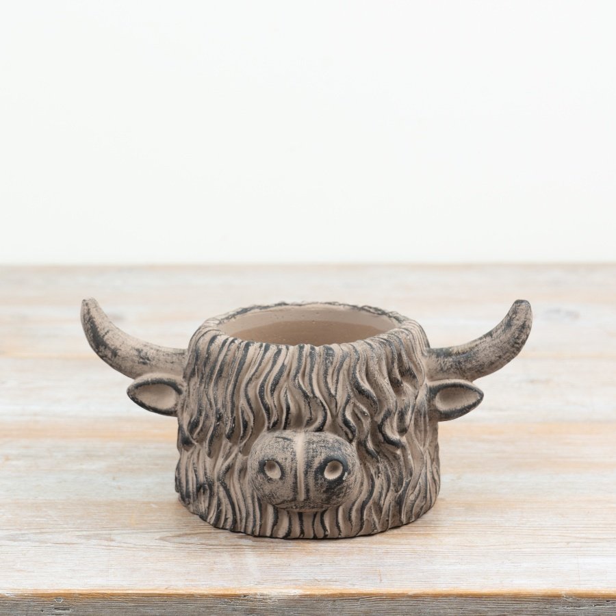 an endearing highland cow plant pot to brighten your space
