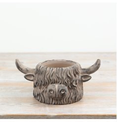 a charming highland cow planter 