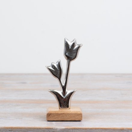 Charming tulip flower sculpture crafted from aluminium on a wooden base in raw nickel finish