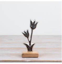 Charming tulip flower sculpture crafted from aluminium on a wooden base in raw nickel finish