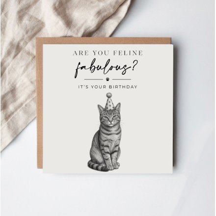 Feline Fabulous Greeting Card, 15cm 