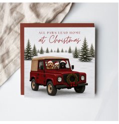 Celebrate the joy of furry friends bringing warmth and love to every home
