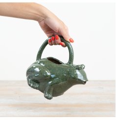 charming green frog-shaped ceramic watering can