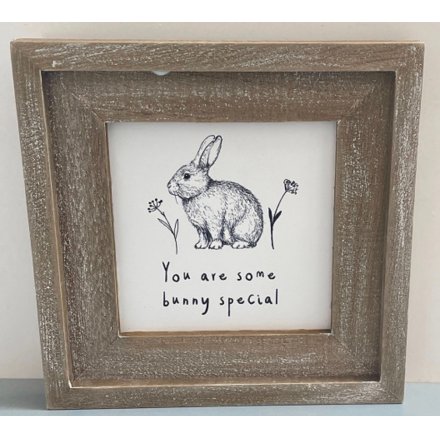 You Are One Special Bunny Frame, 15cm