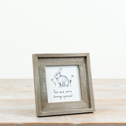 You are some Bunny Special Bunny Frame, 15cm 