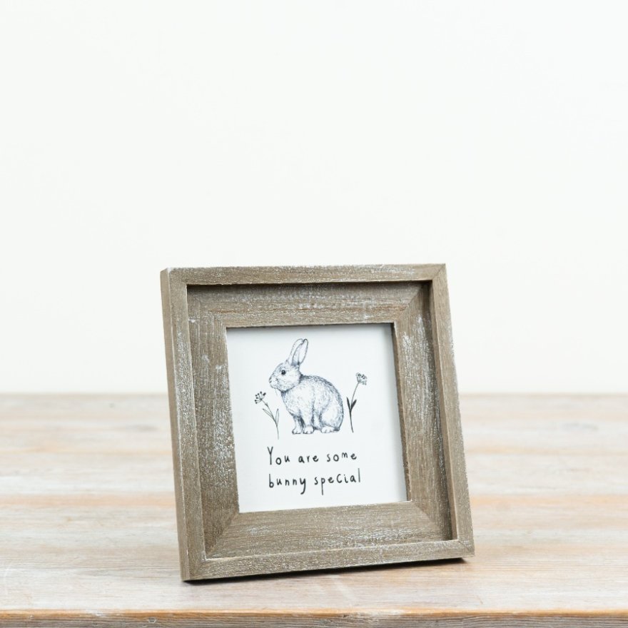 15cm You are some Bunny Special Bunny Frame