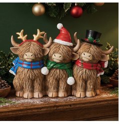 a charming highland cow ornament 