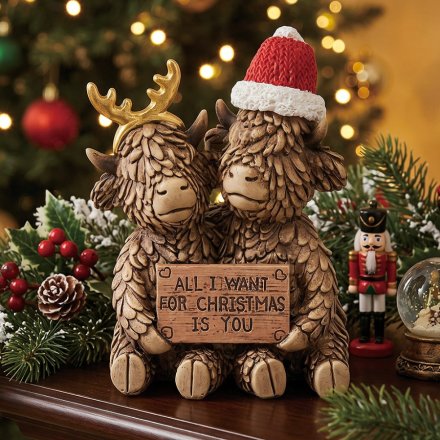 All I Want for Christmas Highland Cow 