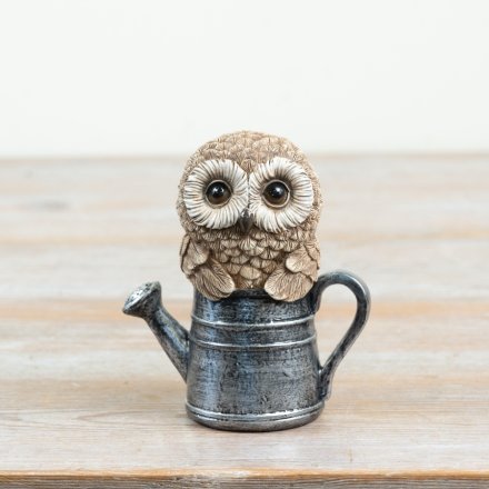 Resin Owl in Watering Can, 12.5cm 