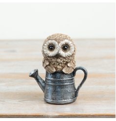 Charming owl settled in an old-fashioned watering can to add character indoors or outdoors