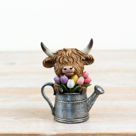 Highland Cow in Watering Can with Tulip, 12.5cm 