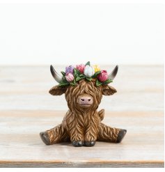 a delightful seated Highland cow adorned with a bright tulip blossom crown