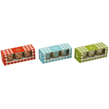 Summer House Votives, 3/A