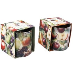 Charming orchard-scented candles in elegant boxes to enhance your cosy spaces
