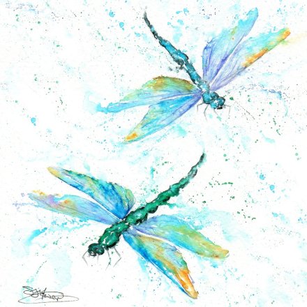 15cm Dragonflies Card by Sandi Mower