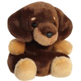 a charming fluffy dog palm pal 