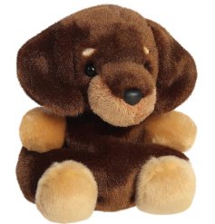 a charming fluffy dog palm pal 