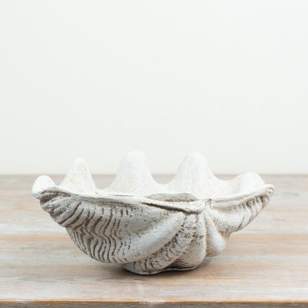 elegant trinket plate inspired by ocean clam design
