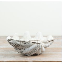 elegant trinket plate inspired by ocean clam design