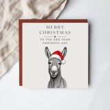 A cheeky and charming festive card featuring a donkey in a Santa hat