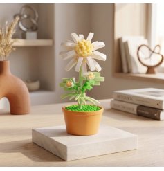 Delightful wooden plant pots bursting with colour to lift any room