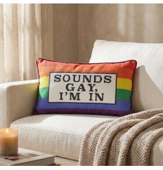 a stylish pride cushion 