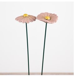 delightful pink daisy stake to brighten your garden