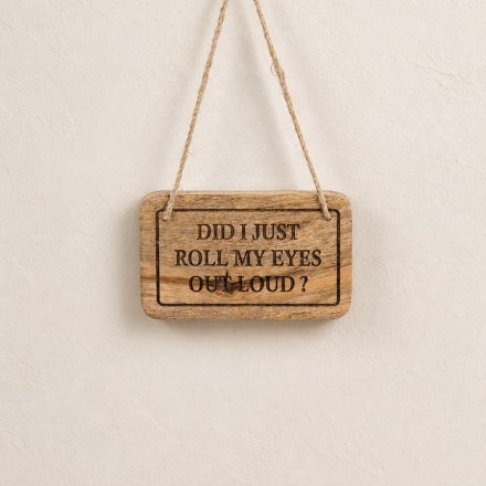 Did I just Roll My Eyes Out Loud Plaque , 15cm 