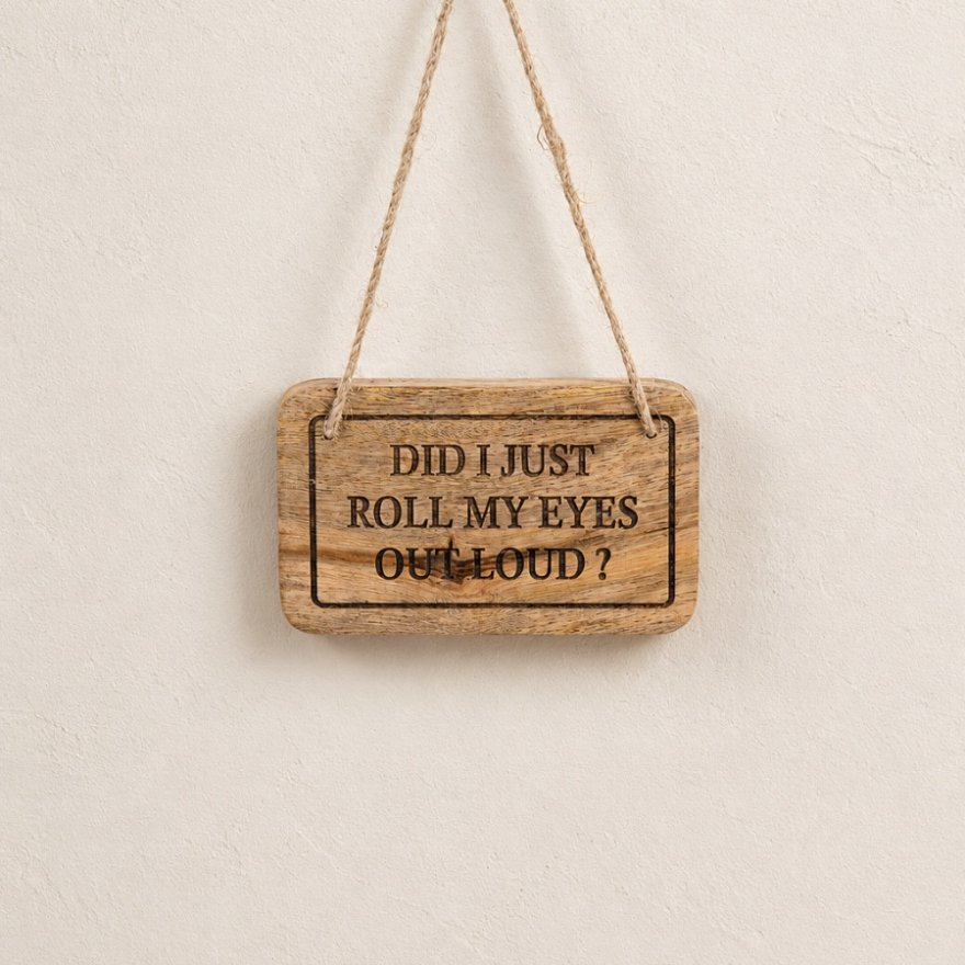 Hanging Did I just Roll My Eyes Out Loud Plaque , 15cm 