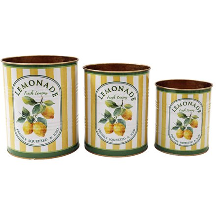 Set of 3 Lemon Storage Tins, 16.5cm 