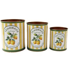 Charming vintage-style tins with vibrant lemon design, perfect for kitchen storage or decorative display
