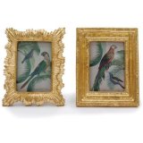 A luxe assortment of 2 resin frames each displaying a unique shape finished in a gold detail.