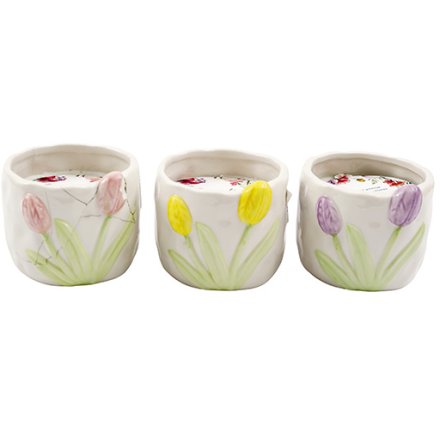 10cm Tulip Candle Pot, 3/A 