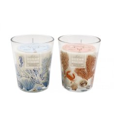 a assortment of scented glass candles 