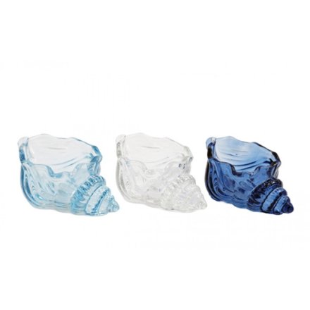 3/A Conch Shell Candle Holder, 10.8cm 