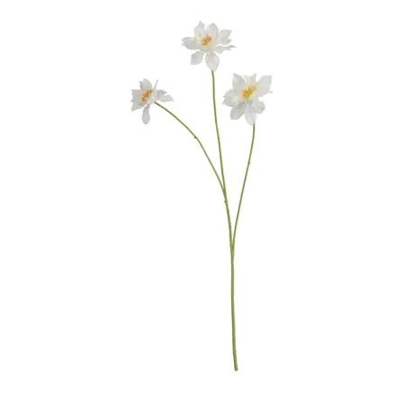 a charming clematis flower on stem flower perfect for indoor arrangements 