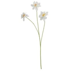 a charming clematis flower on stem flower perfect for indoor arrangements 