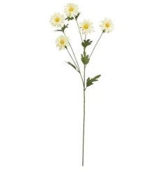 Brings a fresh, breezy floral charm to rustic, farmhouse, or Scandinavian-style interiors
