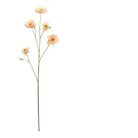 Peach Blossom Stem, 89cm